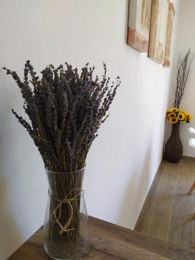 Apartamentos Xert Escapadas En Castellon Cerca De Morella Y Peniscola Chert Sant Mateu Bagian luar foto
